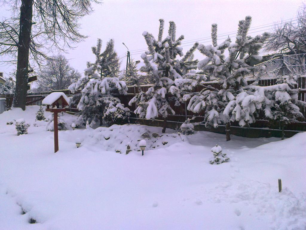 Agro-tur W Szuwarach * Kuty