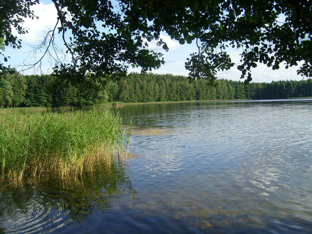 Agro-tur W Szuwarach Kuty
